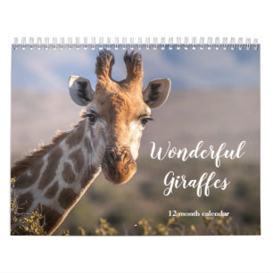 Prachtige Giraffen 2027 Kalender
