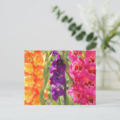 Prachtige Gladiolus Blooms Briefkaart (Staand voorkant)