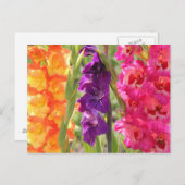 Prachtige Gladiolus Blooms Briefkaart (Voorkant / Achterkant)