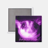 Prachtige glijder magneet (Voorkant / Achterkant)