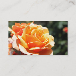 Prachtige gouden gele rozenbloem visitekaartje