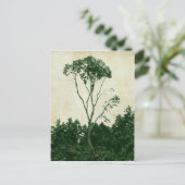 Prachtige groene briefkaart (Staand voorkant)