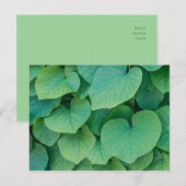 Prachtige groene hartvormige bladeren foto van de  briefkaart (Voorkant / Achterkant)