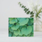 Prachtige groene hartvormige bladeren foto van de  briefkaart (Staand voorkant)