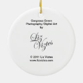 Prachtige Groene Ronde Ornament (Achterkant)