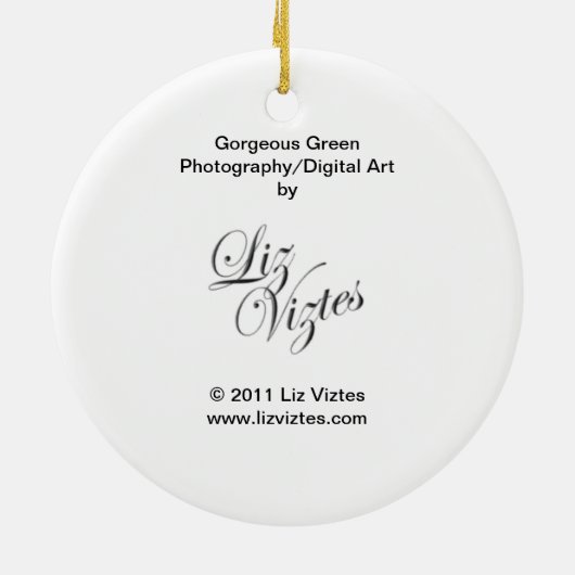 Prachtige Groene Ronde Ornament (Achterkant)