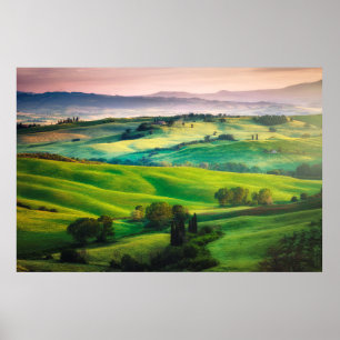 Prachtige groenen in het landschap met lichte pa poster