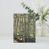 Prachtige grove van Aspen-bomen in Crested Butte Briefkaart (Staand voorkant)