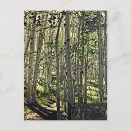 Prachtige grove van Aspen-bomen in Crested Butte Briefkaart