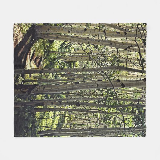 Prachtige grove van Aspen-bomen in Crested Butte Fleece Deken (Voorkant (Horizontaal))