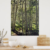 Prachtige grove van Aspen-bomen in Crested Butte P Poster (Keuken)
