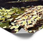 Prachtige grove van Aspen-bomen in Crested Butte P Poster (Hoek)