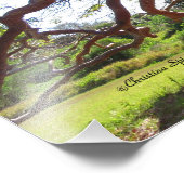 Prachtige Gumbo Limbo bomen Sun Print Foto Afdruk (Hoek)