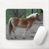 Prachtige haflinger muismat (Met muis)