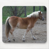 Prachtige haflinger muismat (Voorkant)
