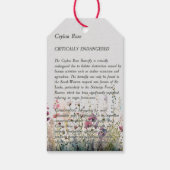 Prachtige handgeschilderde Ceylon Rozen vlinder Cadeaulabel (Achterkant)