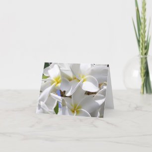 Prachtige Hawaiiaanse Plumeria Note Kaart