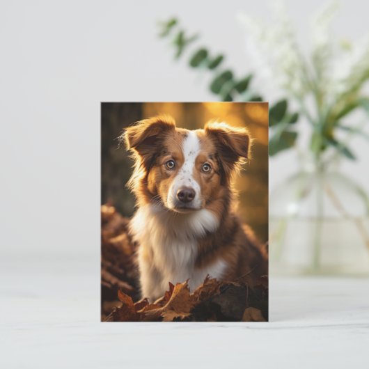 Prachtige herfst Australische Herder Briefkaart (Staand voorkant)