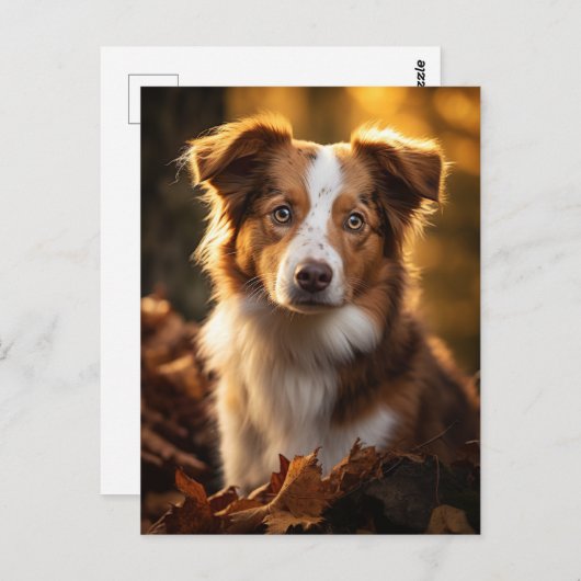 Prachtige herfst Australische Herder Briefkaart (Voorkant / Achterkant)