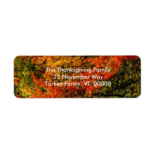 Prachtige Herfst Foliage Photo Return Address Labe Etiket (Voorkant)