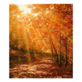 Prachtige herfst foto afdruk (Voorkant)