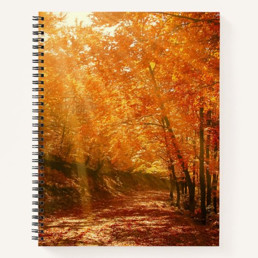 Prachtige herfst notitieboek (Voorkant)