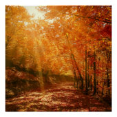 Prachtige herfst perfect poster (Voorkant)