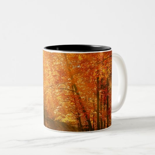 Prachtige herfst tweekleurige koffiemok (Voorkant rechts)