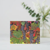 Prachtige Herfst Wijn VIneyard gekleurd Briefkaart (Staand voorkant)