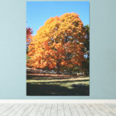 Prachtige herfstboom – Hubbell, Michigan Canvas Afdruk (Insitu (Houten vloer))