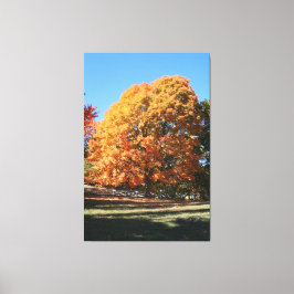 Prachtige herfstboom – Hubbell, Michigan Canvas Afdruk