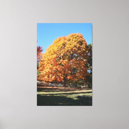 Prachtige herfstboom – Hubbell, Michigan Canvas Afdruk (Voorkant)