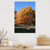 Prachtige herfstboom – Hubbell, Michigan Poster (Keuken)