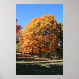 Prachtige herfstboom – Hubbell, Michigan Poster