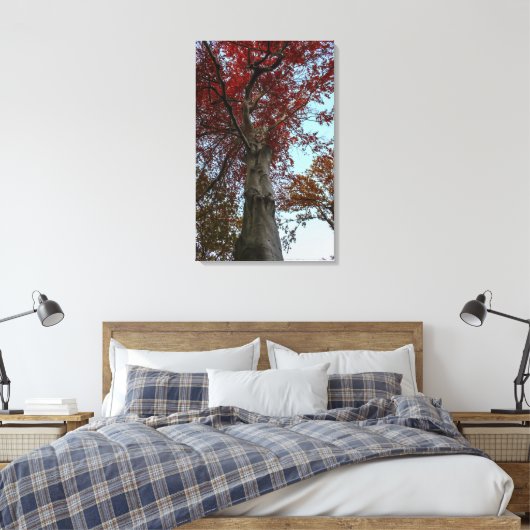 Prachtige herfstboom in Central Park Canvas Afdruk (Insitu (Slaapkamer))