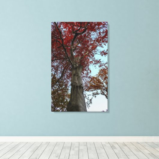 Prachtige herfstboom in Central Park Canvas Afdruk (Insitu (Houten vloer))