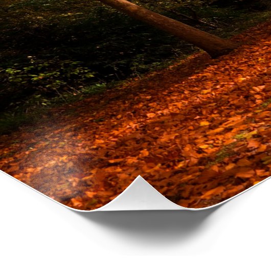 Prachtige Herfsten Perfect Poster (Hoek)