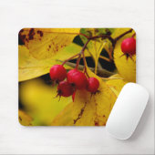 Prachtige herfstmuizenpad muismat (Met muis)