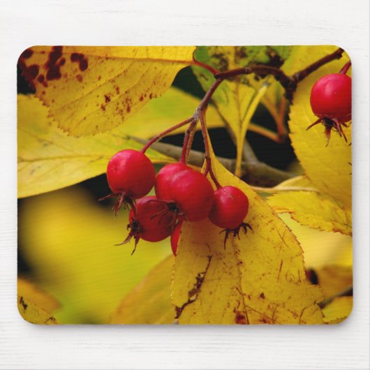 Prachtige herfstmuizenpad muismat (Voorkant)