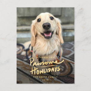 Prachtige Hoeuwelijkse Feestelijke Hond Pun Foto V Feestdagenkaart