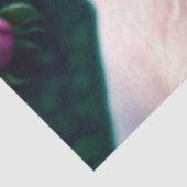 Prachtige hond en Roos Collectie Tissuepapier (Detail)