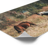 Prachtige HORSE-Herfst Archival Poster Afdrukken (Hoek)