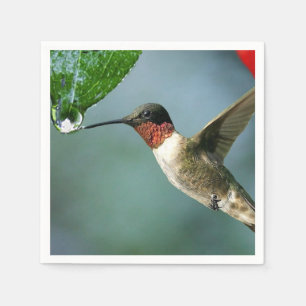 Prachtige Hummingbird Natuur Scenery Servet