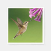 Prachtige Hummingbird Natuur Scenery Servetten (Voorkant)