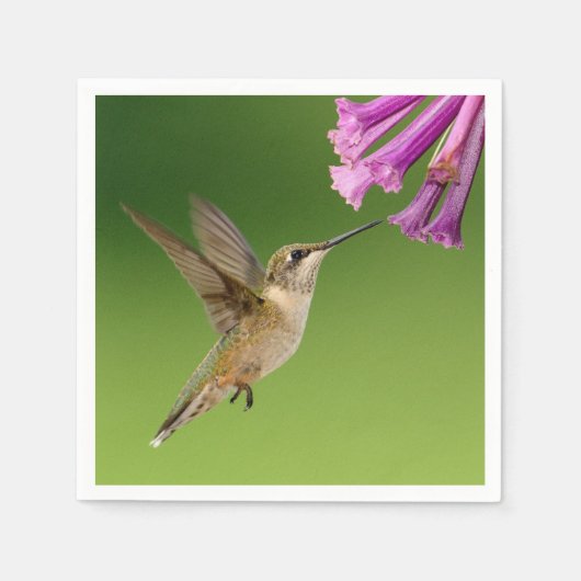 Prachtige Hummingbird Natuur Scenery Servetten (Voorkant)