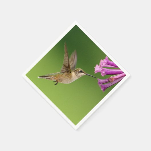 Prachtige Hummingbird Natuur Scenery Servetten (Hoek)