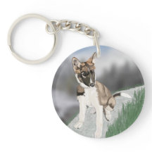 Prachtige Husky Puppy