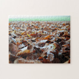 Prachtige ijzige herfst herfst laat bos lopen legpuzzel