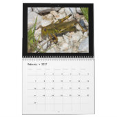 Prachtige Insects Agenda 2018 Kalender (Feb 2027)