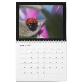 Prachtige Insects Agenda 2018 Kalender (Mar 2027)